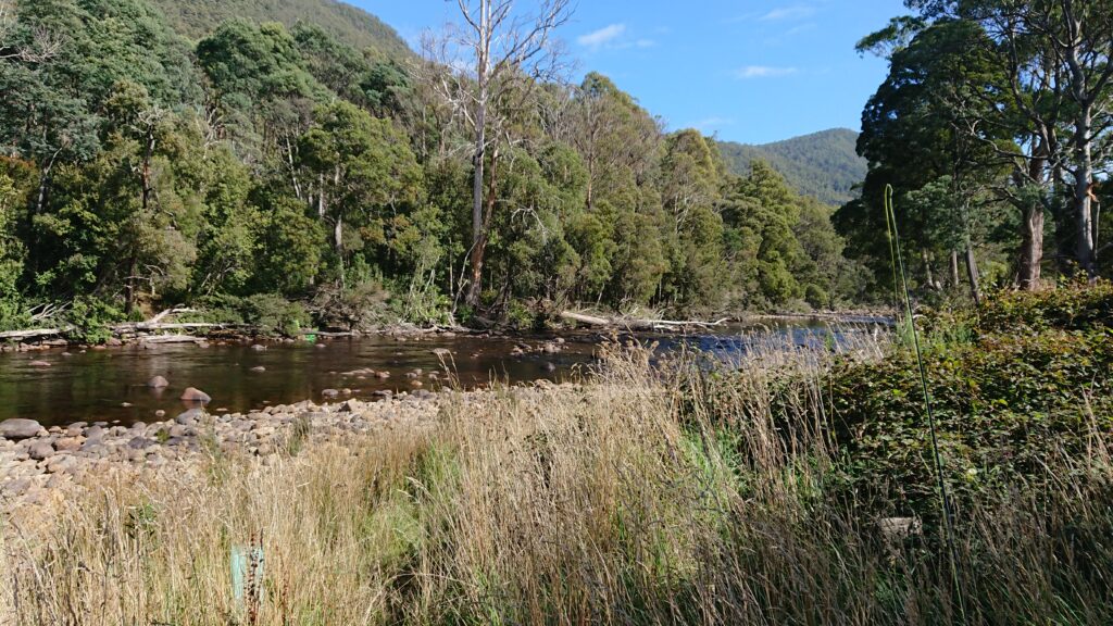 River Leven, Tasmania