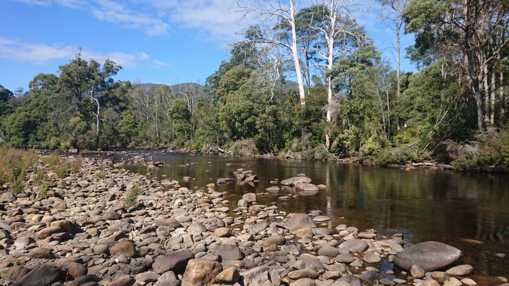 Pebbly shore of the River Leven, Tasmania