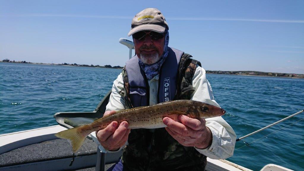 Whiting on the Tamar River