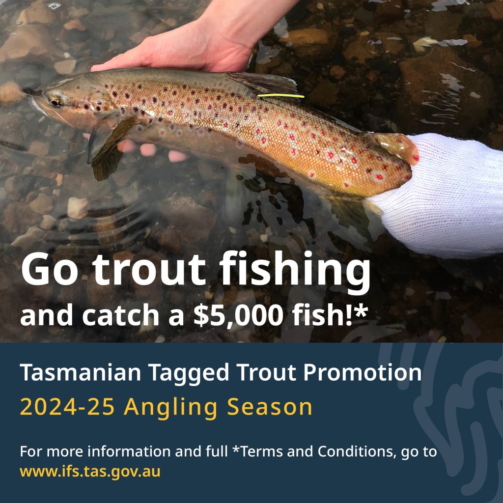 IFS Tagged Trout Promotion