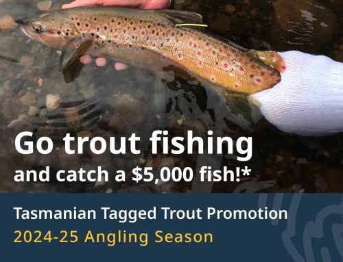 Lucky anglers can win $5,000