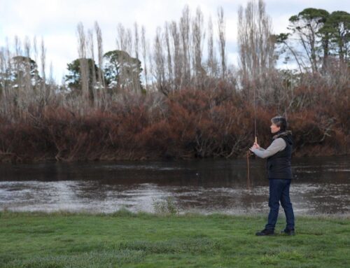 Basic fly cast