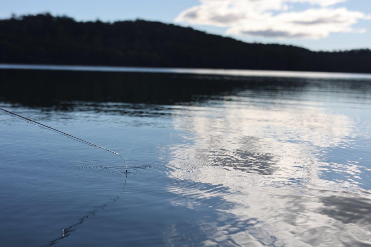 A fishing rod with line in a lake