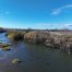 aerial view of South Esk River with 2 anglers on the bank