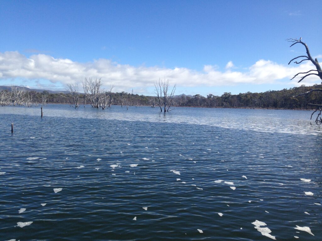 Windlane on Arthurs Lake, Tasmania