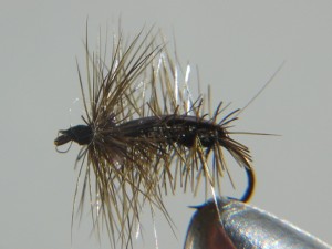 Black beetle trout fly