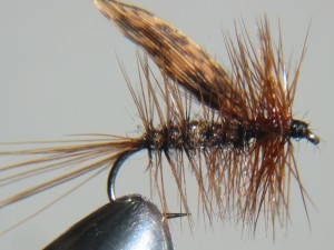 Brown dun trout fly