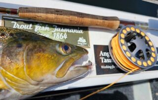 Brown trout head with fly rod and reel