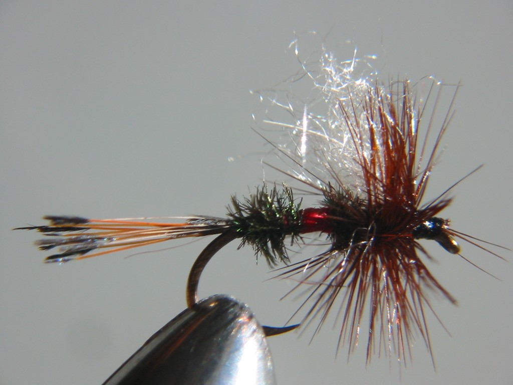 Royal Hair Wing Coachman / Wolf – dry fly – Trout Territory Fish Wild ...