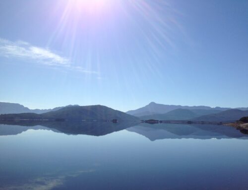 Lake Burbury Tasmania