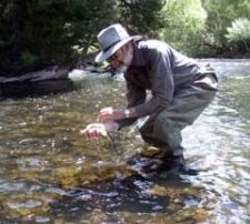 Stewart brings to hand a wild Tasmanian trout